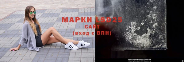 крисы Абаза