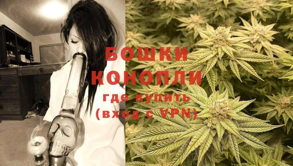 PSILOCYBIN Осинники