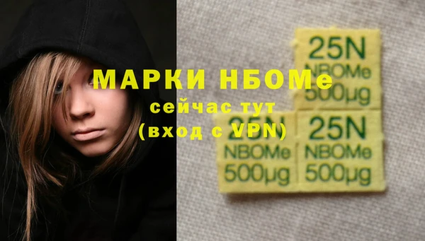 крисы Абаза